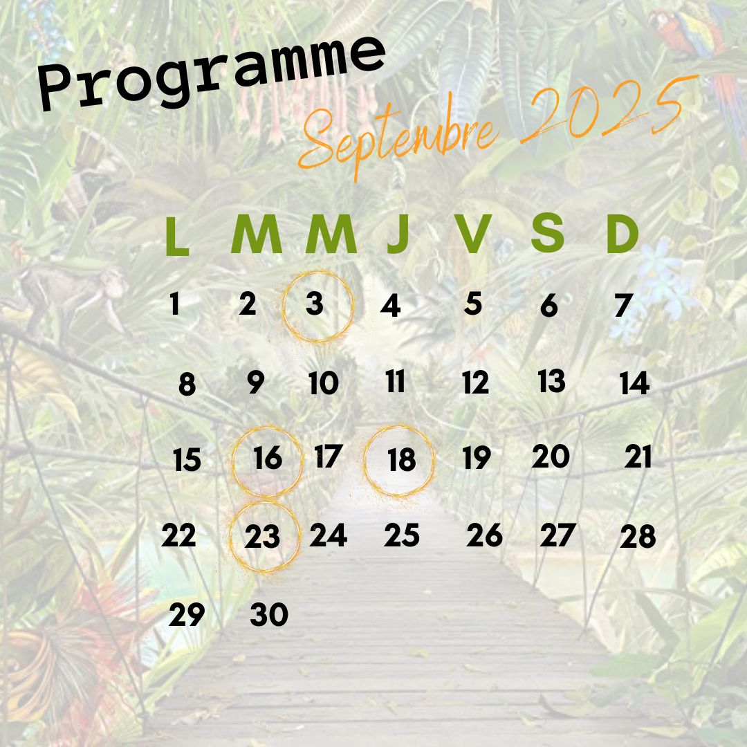 Le bruit du WIT - SEPTEMBRE 2025