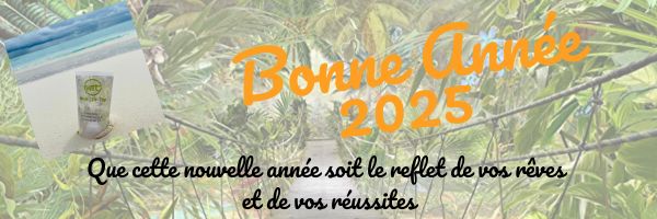 Bonne annee 2025