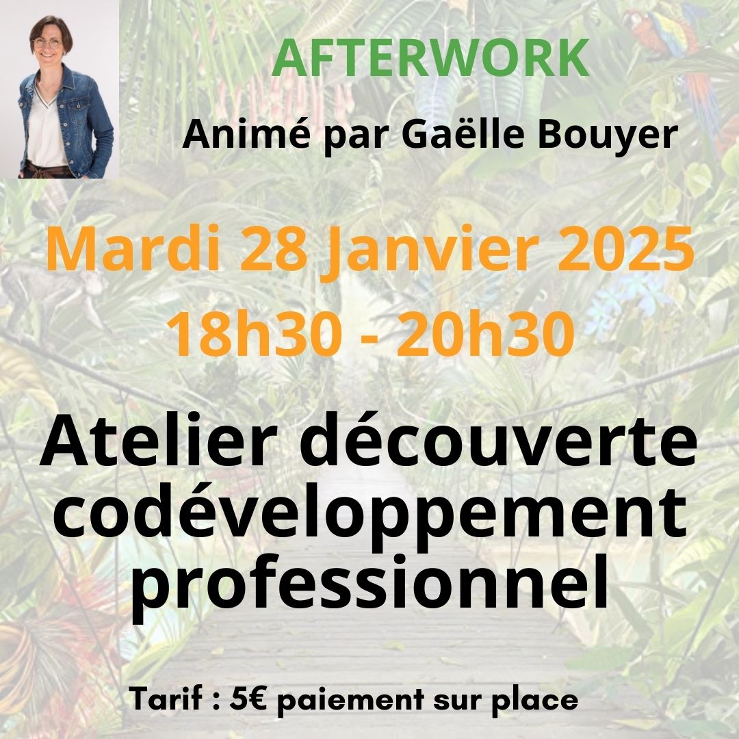 Affiche donnant des informations à propos de l'afterwork prevu le 28 janvier 2025