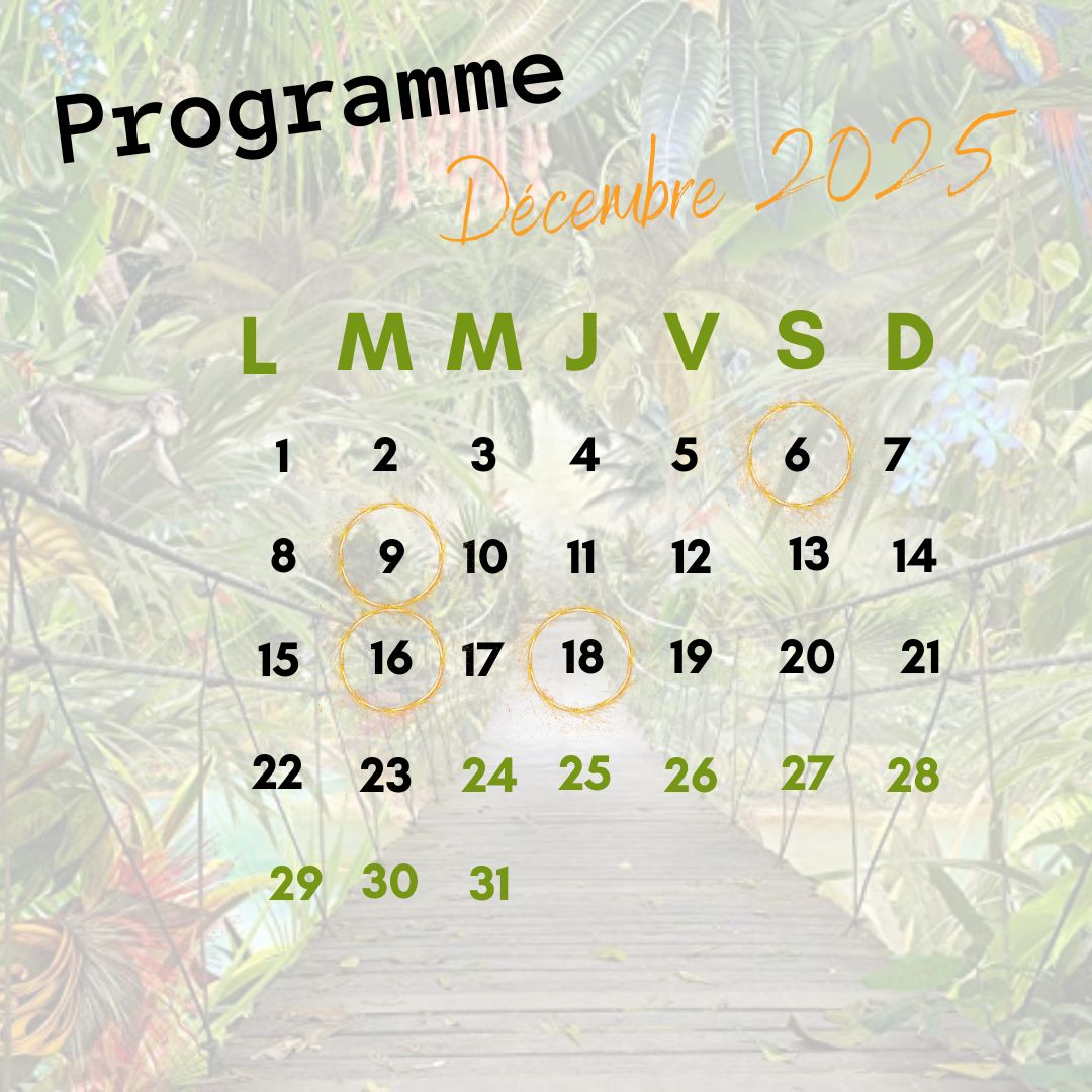 Le bruit du WIT - DECEMBRE 2025